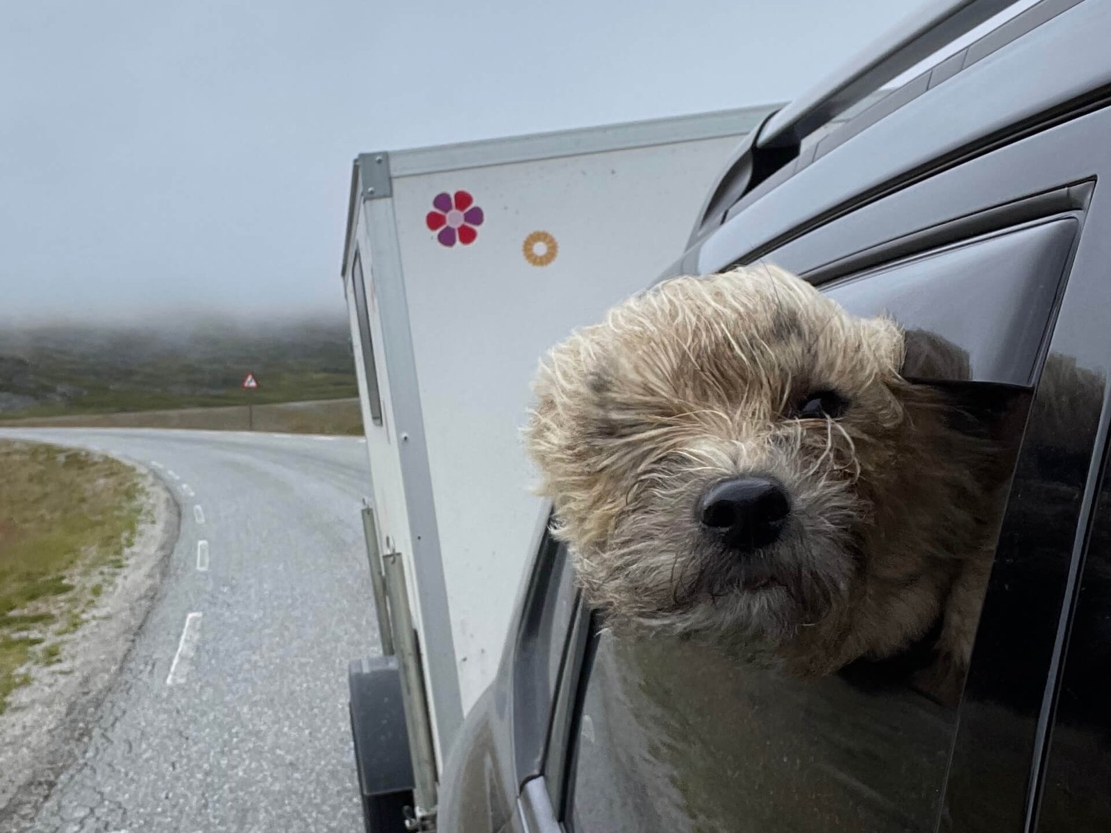 james speurt rendieren