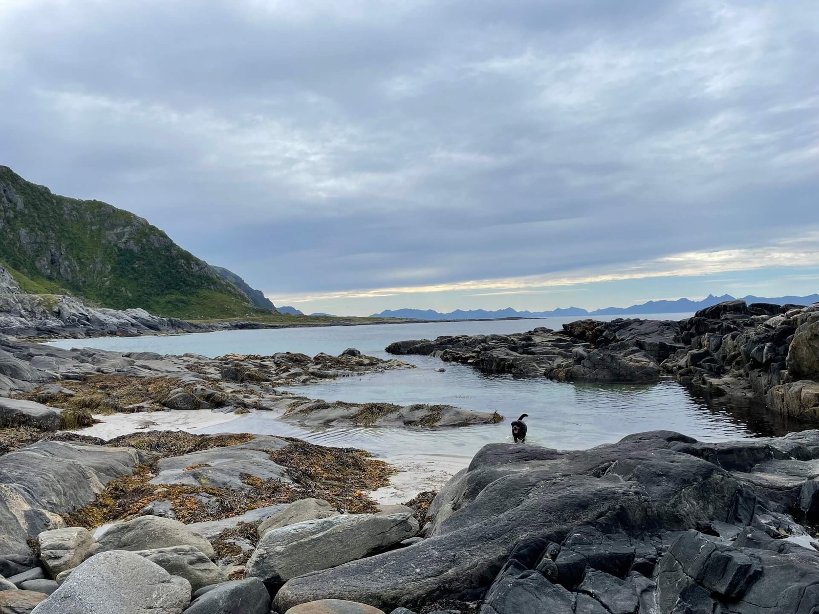 rottweiler op andoja strand
