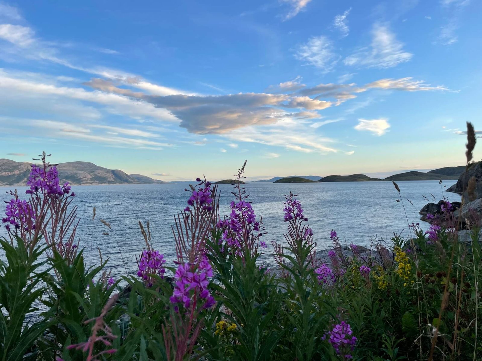 uitzicht camping bjornvika