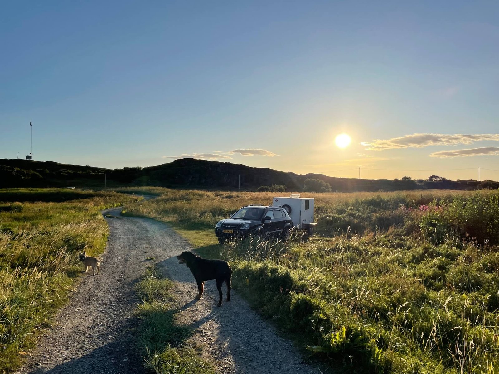 wildkampeerstek sandoja