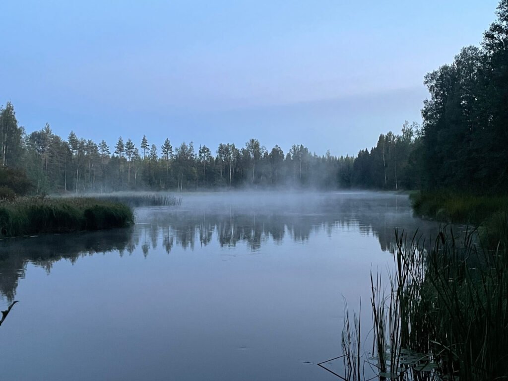 avond uitzicht wildstek ruokoniemi