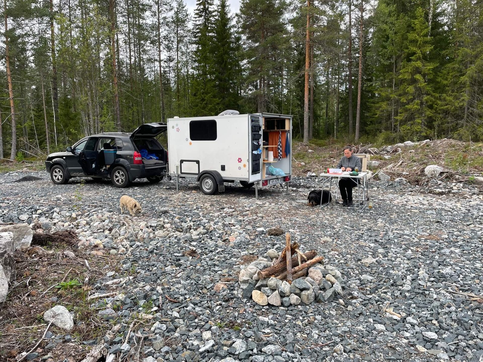 kitty maakt lunchsalade