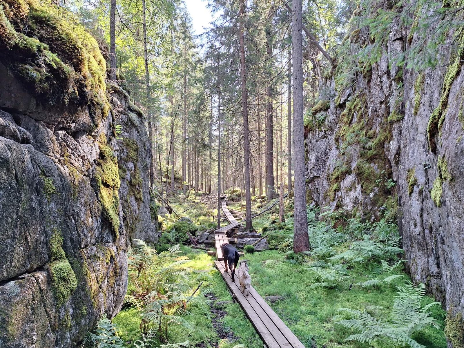 kloofwandeling leppävirta 1