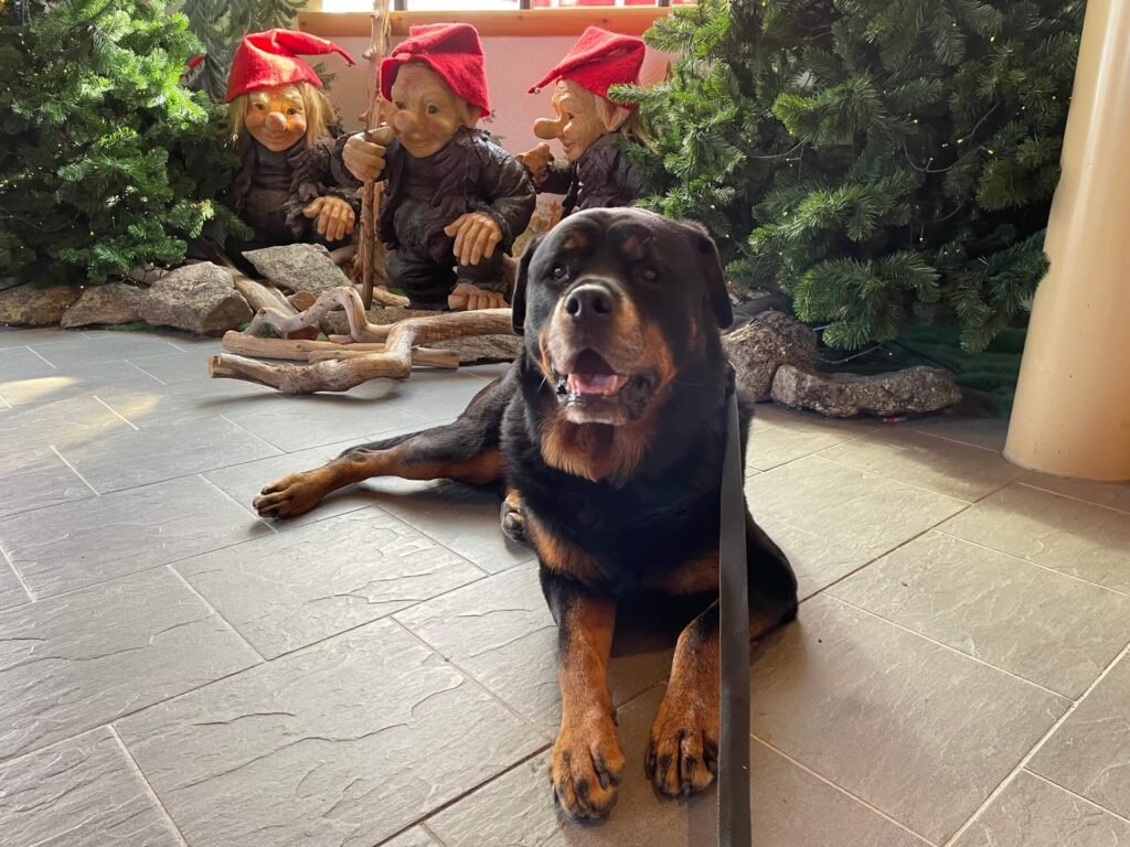 ruud santa claus village