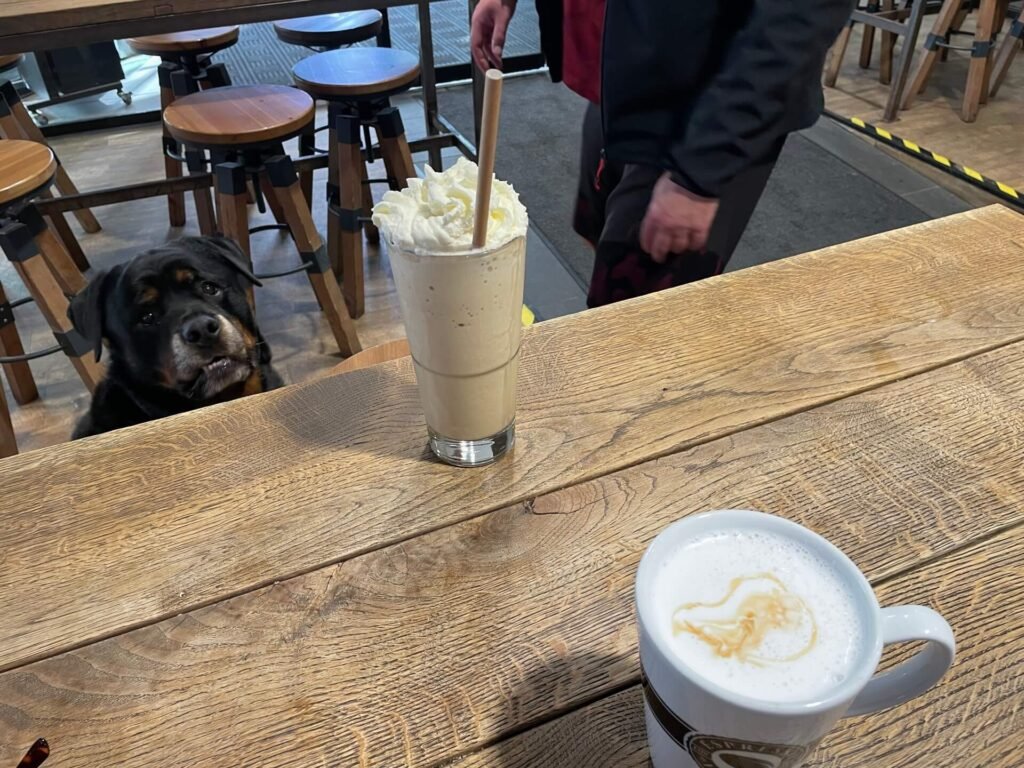 ruud wil ook wat lekkers helsinki