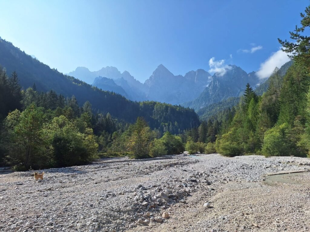 james vermaakt zich gozd martuljek triglav