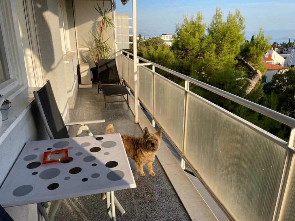 split appartement viktorija balkon