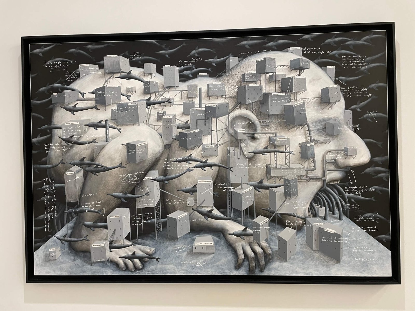 split museum fine arts