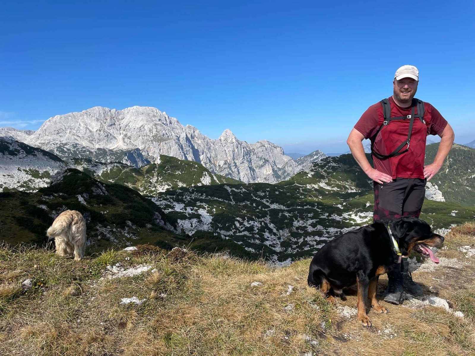 top mount visevnik