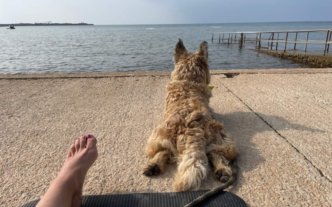 Nazomeren in Kroatië