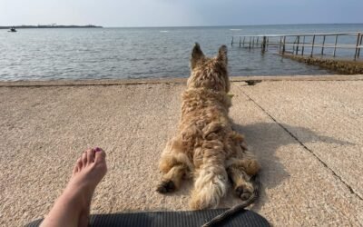 Nazomeren in Kroatië