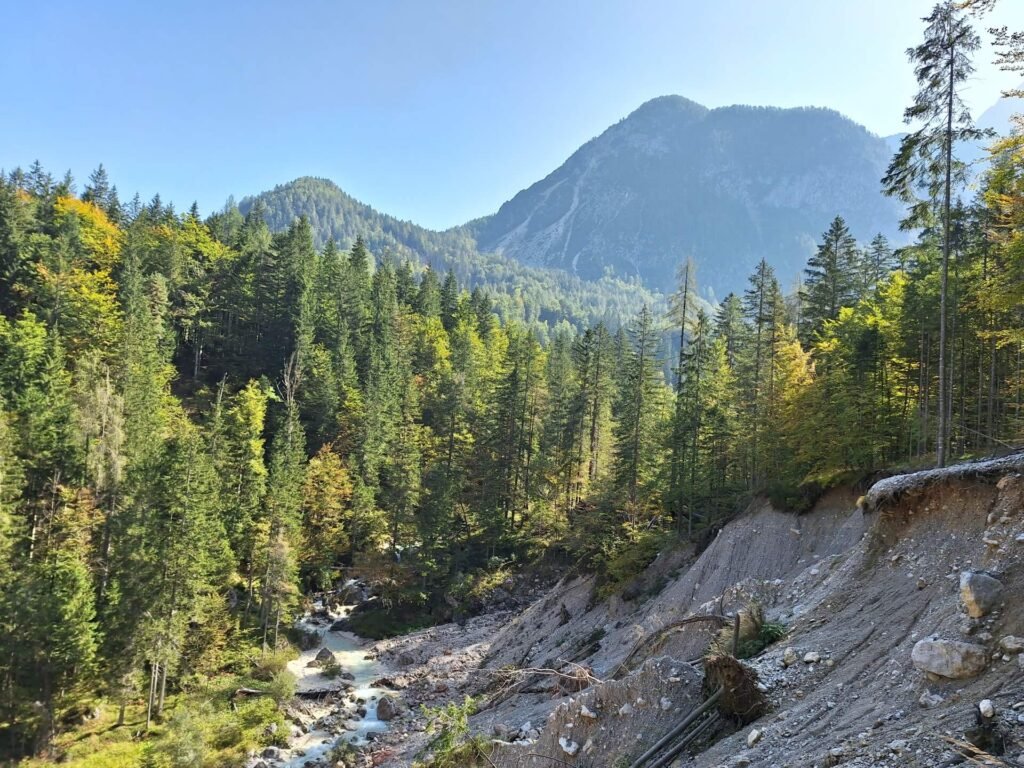 wandelen natuur gozd martuljek triglav