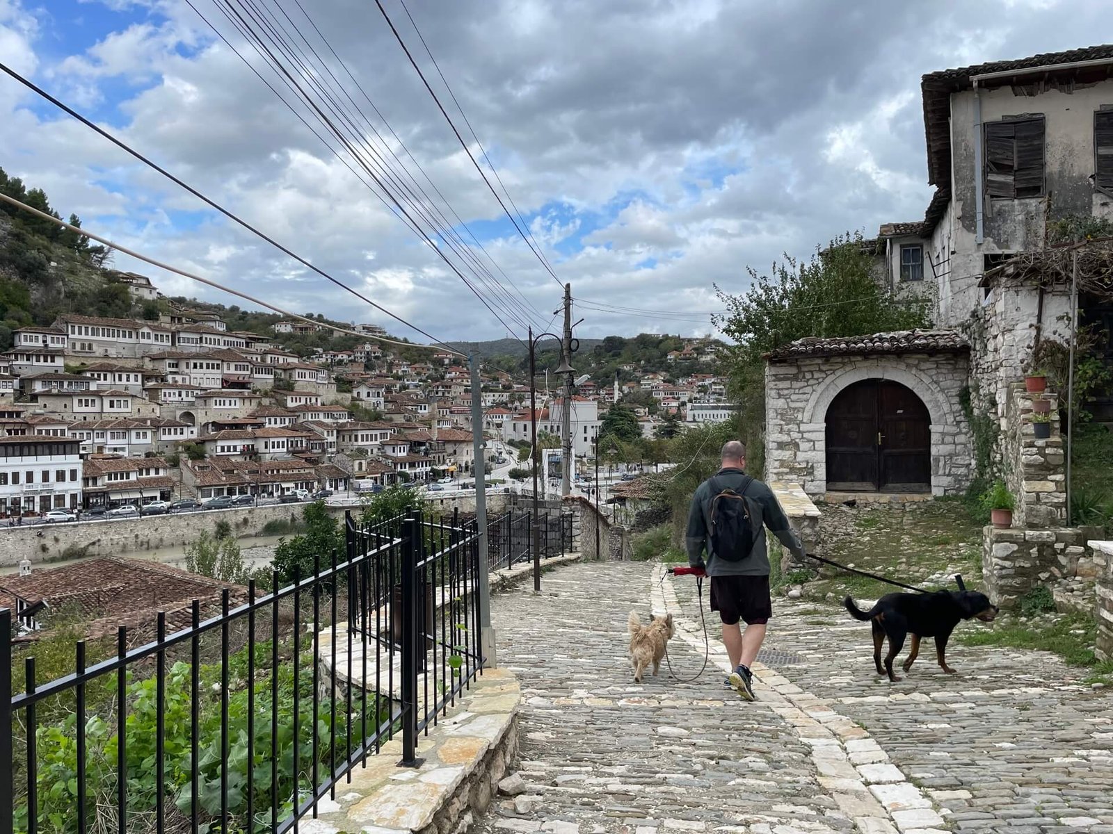 berat stadswandeling martijn honden