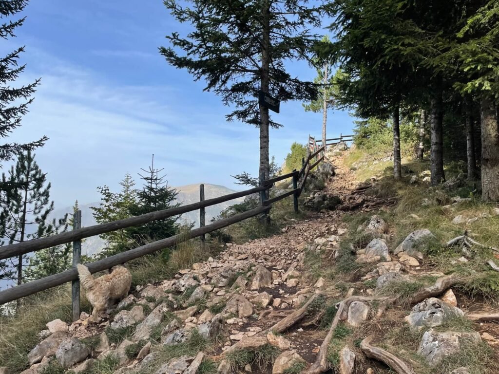 durmitor nationalpark curevac begin wandeling