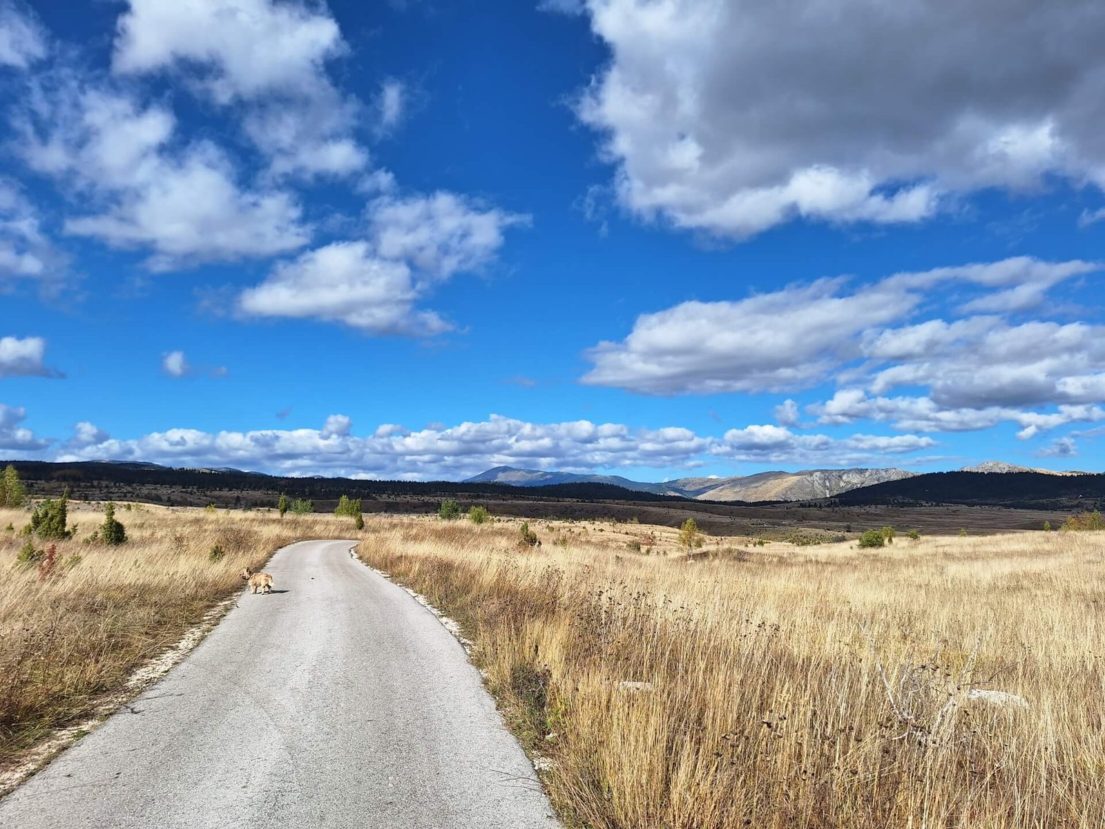 durmitor nationalpark wandeling durmitors nest