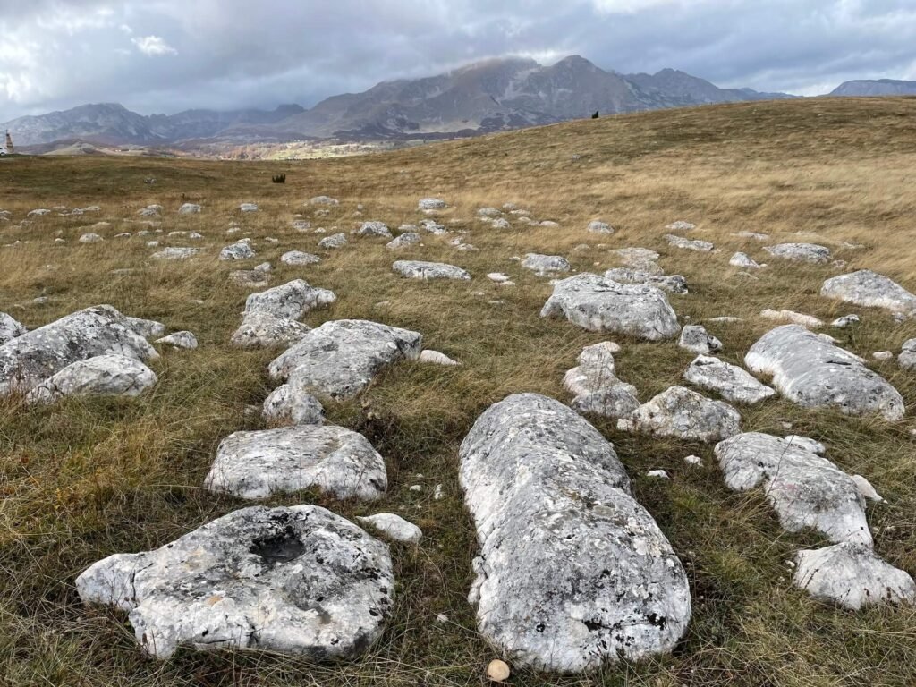 durmitor stecci groblje 1