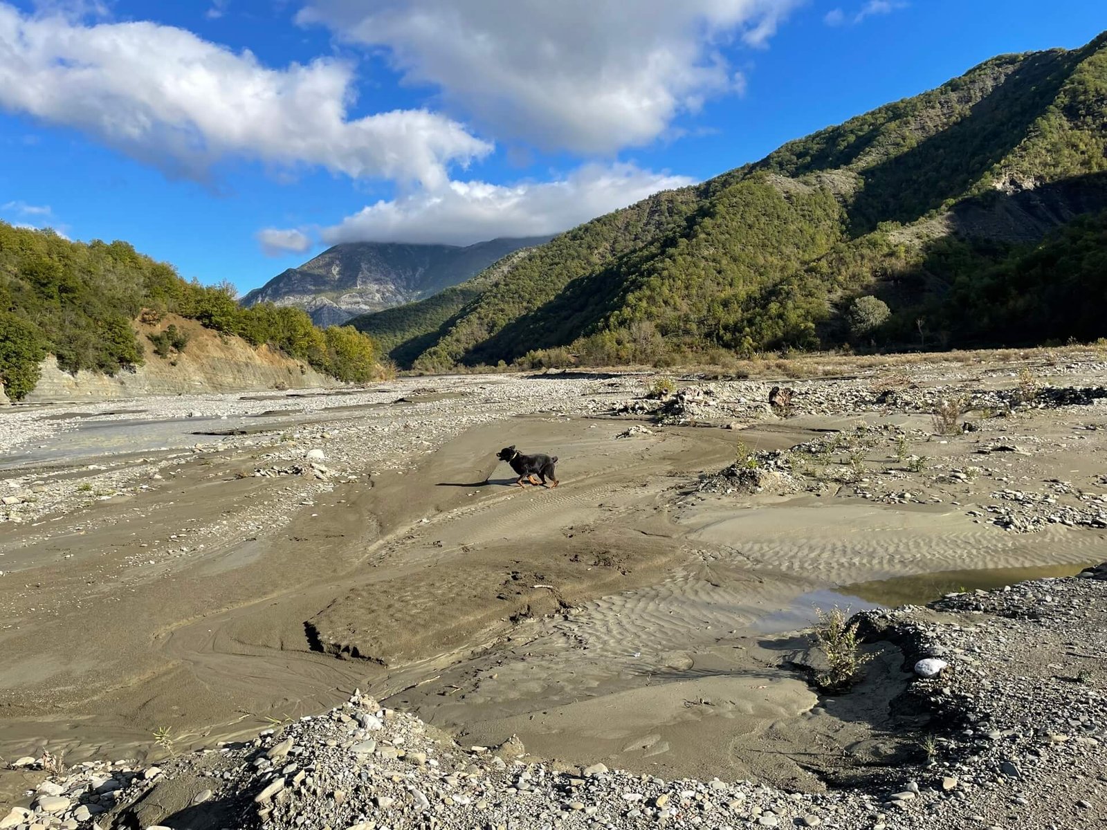 omgeving berat ruud mag even loss