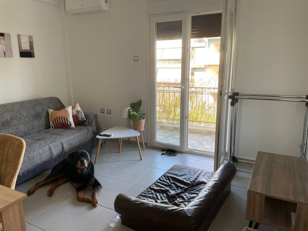 athene nova apartment