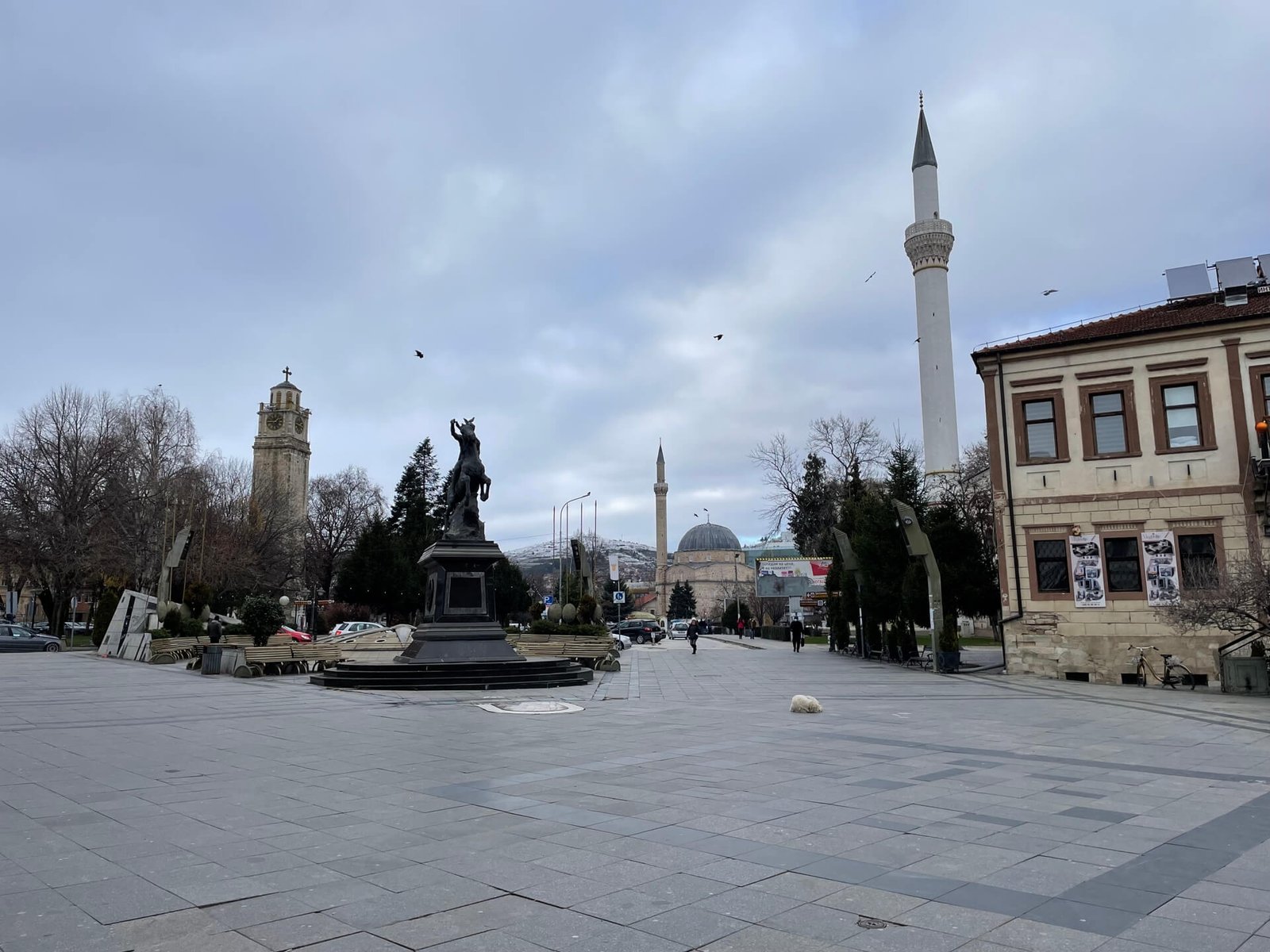 bitola magnolia square