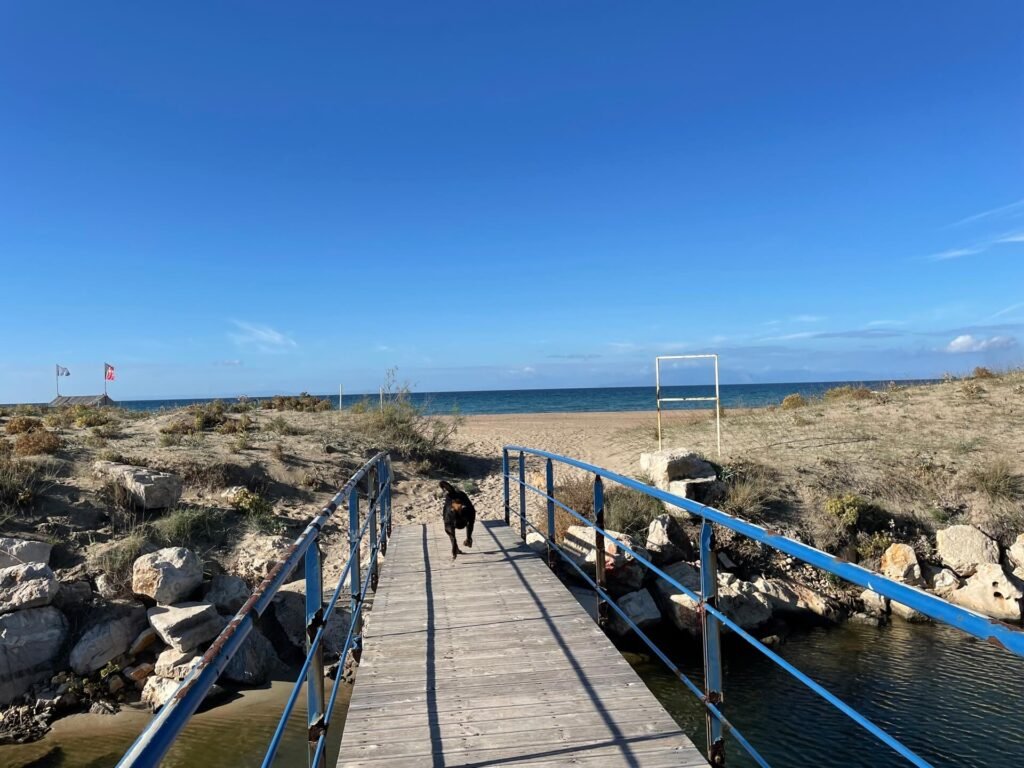 kalogria beach brugje