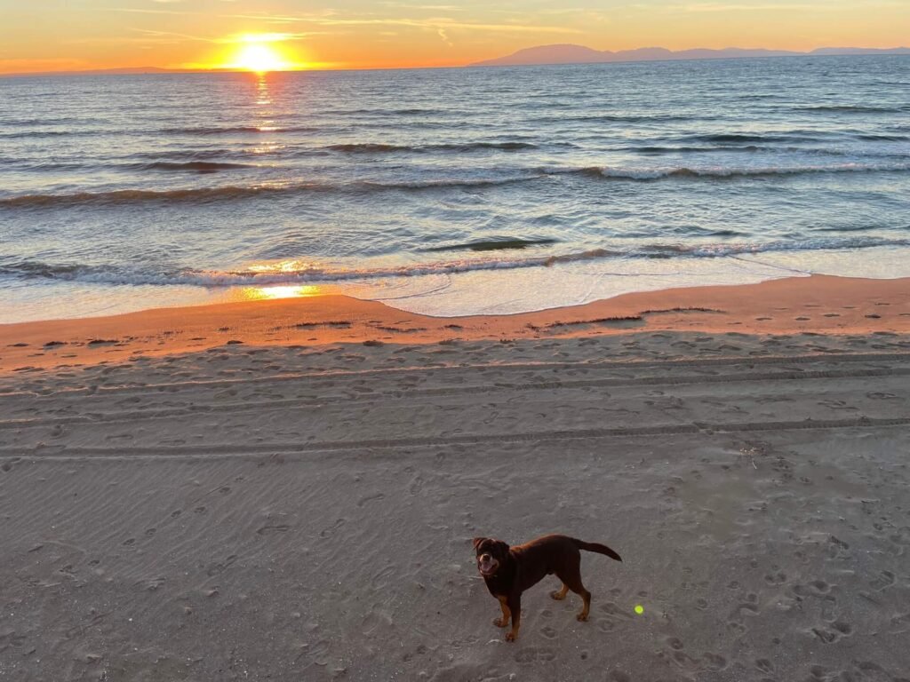 kalogria beach sunset ruud