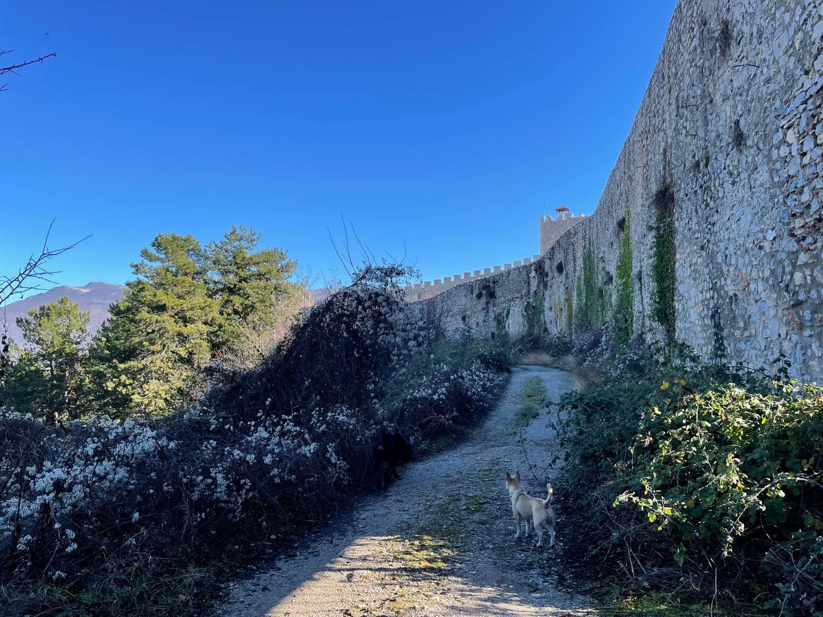 ohrid fort samuel