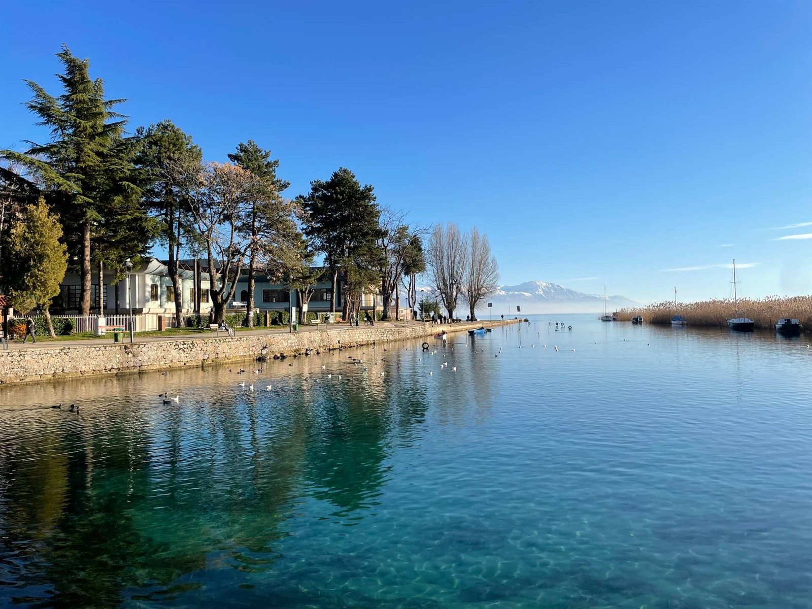 struga dam