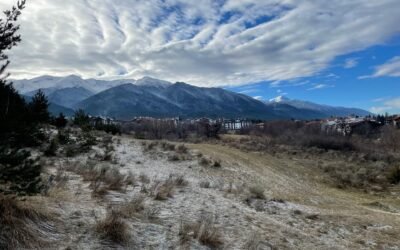 De Aanleiding en Intens Bulgarije