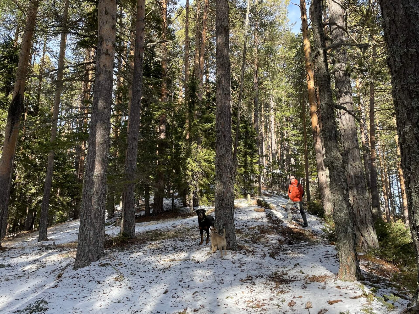 bansko pirin nationalpark winterwandeling
