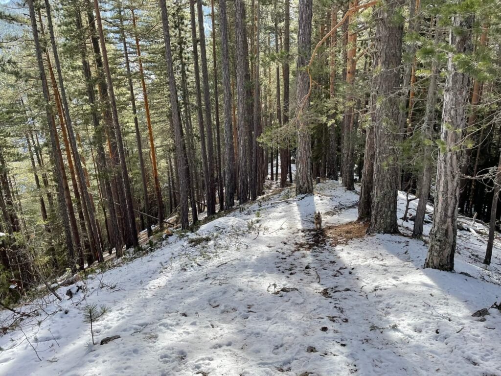 bansko pirin wandeling james