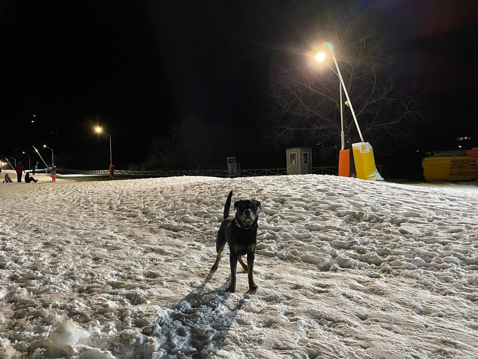 bansko skipiste ruud maakt lol