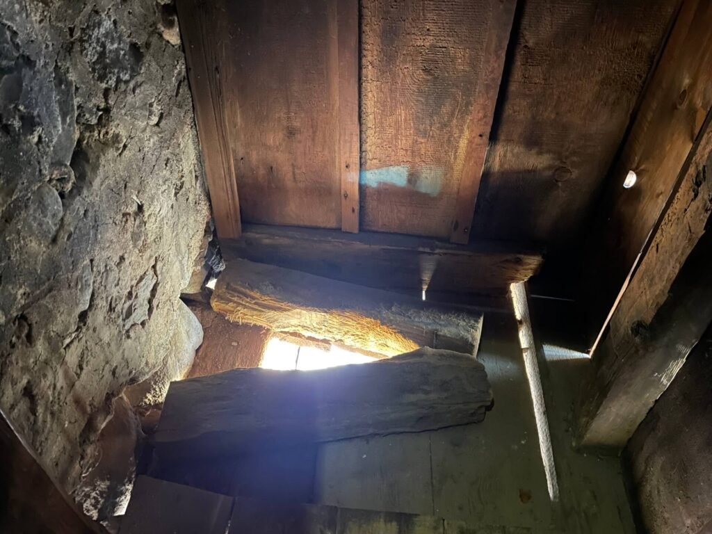 bansko velyan house wc