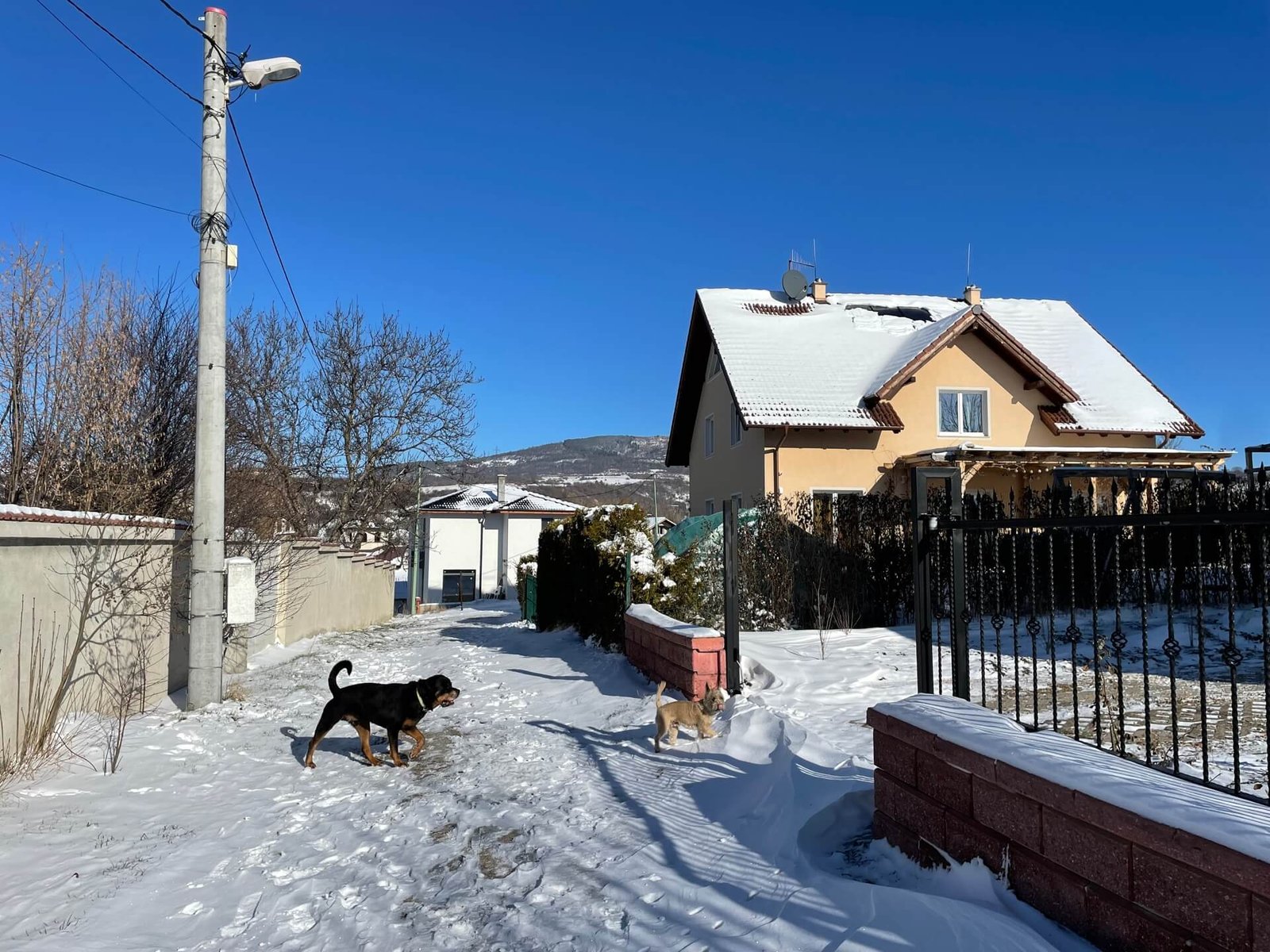 dragichevo lavender suite huis