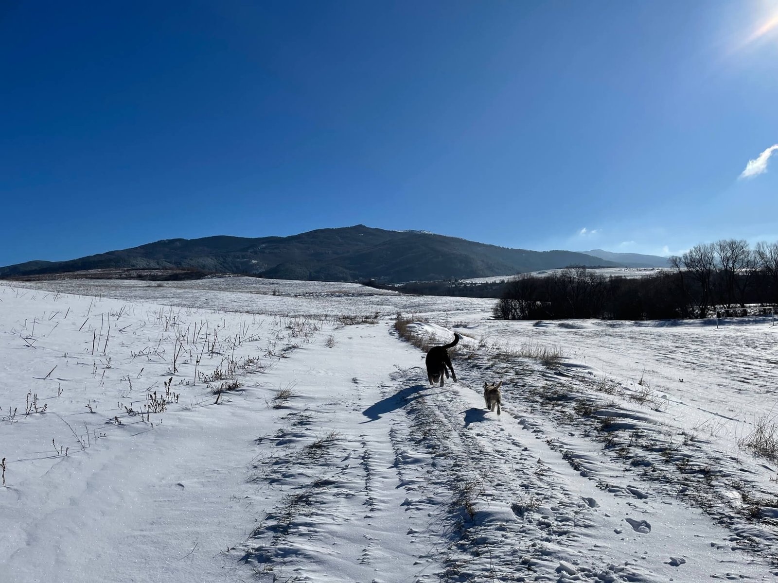 dragichevo sneeuw samen op pad