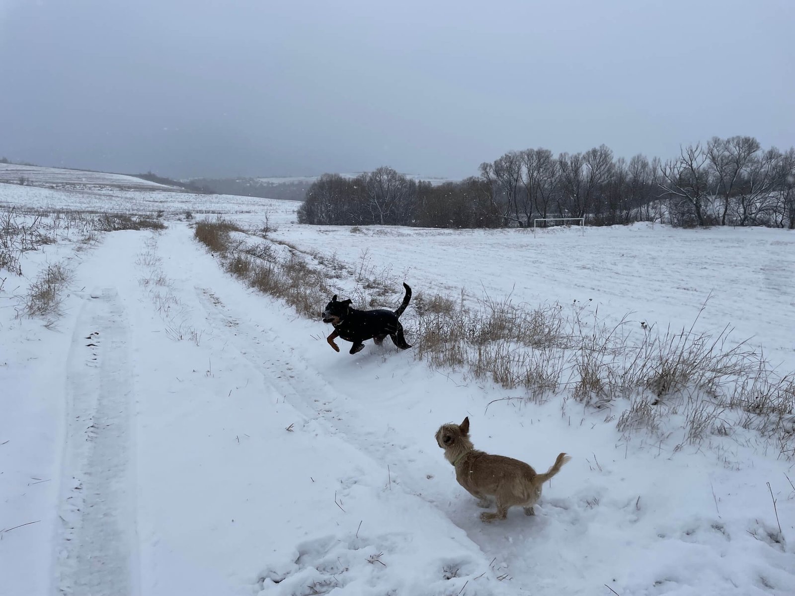 dragichevo sneeuwpret