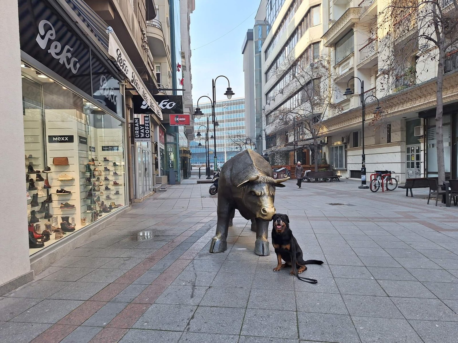 skopje centrum ruud bull