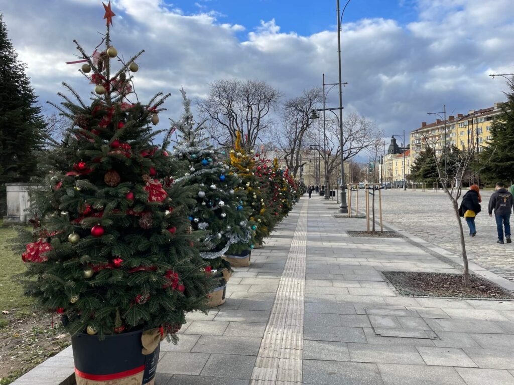 sofia centrum kerstbomen