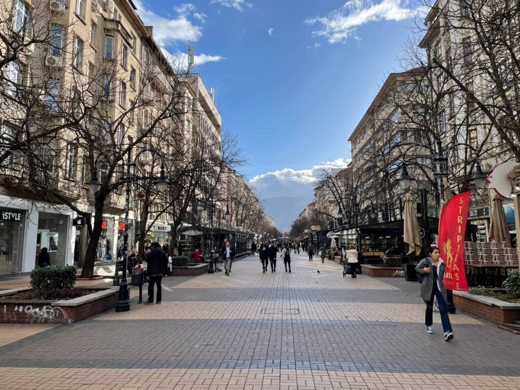 sofia vitosha boulevard winter