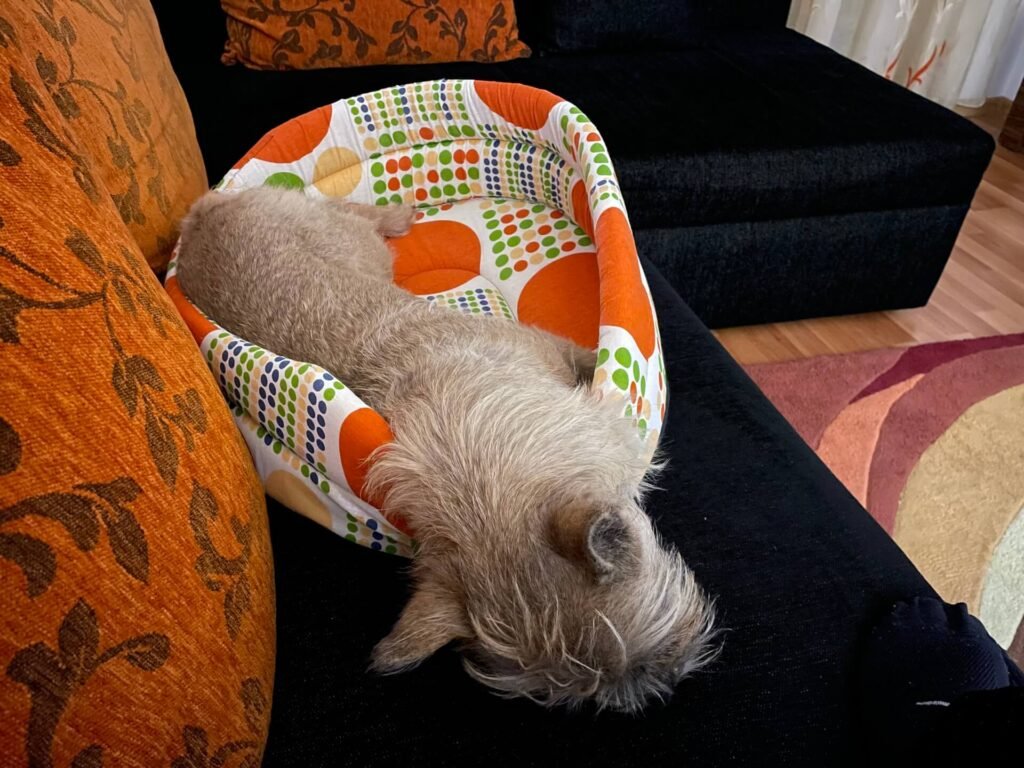 boekarest james chillen 1