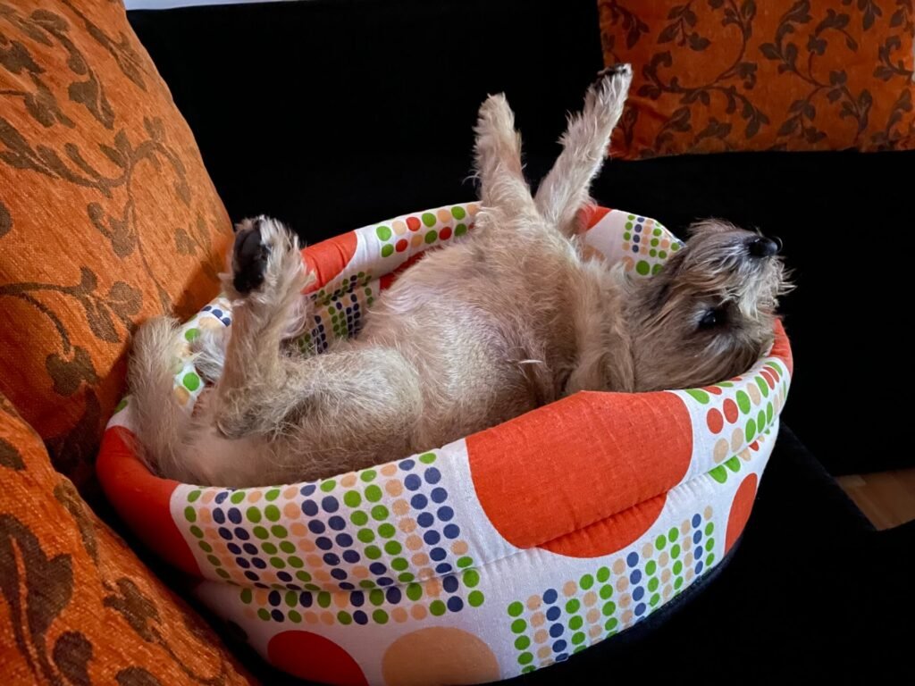 boekarest james chillen 3