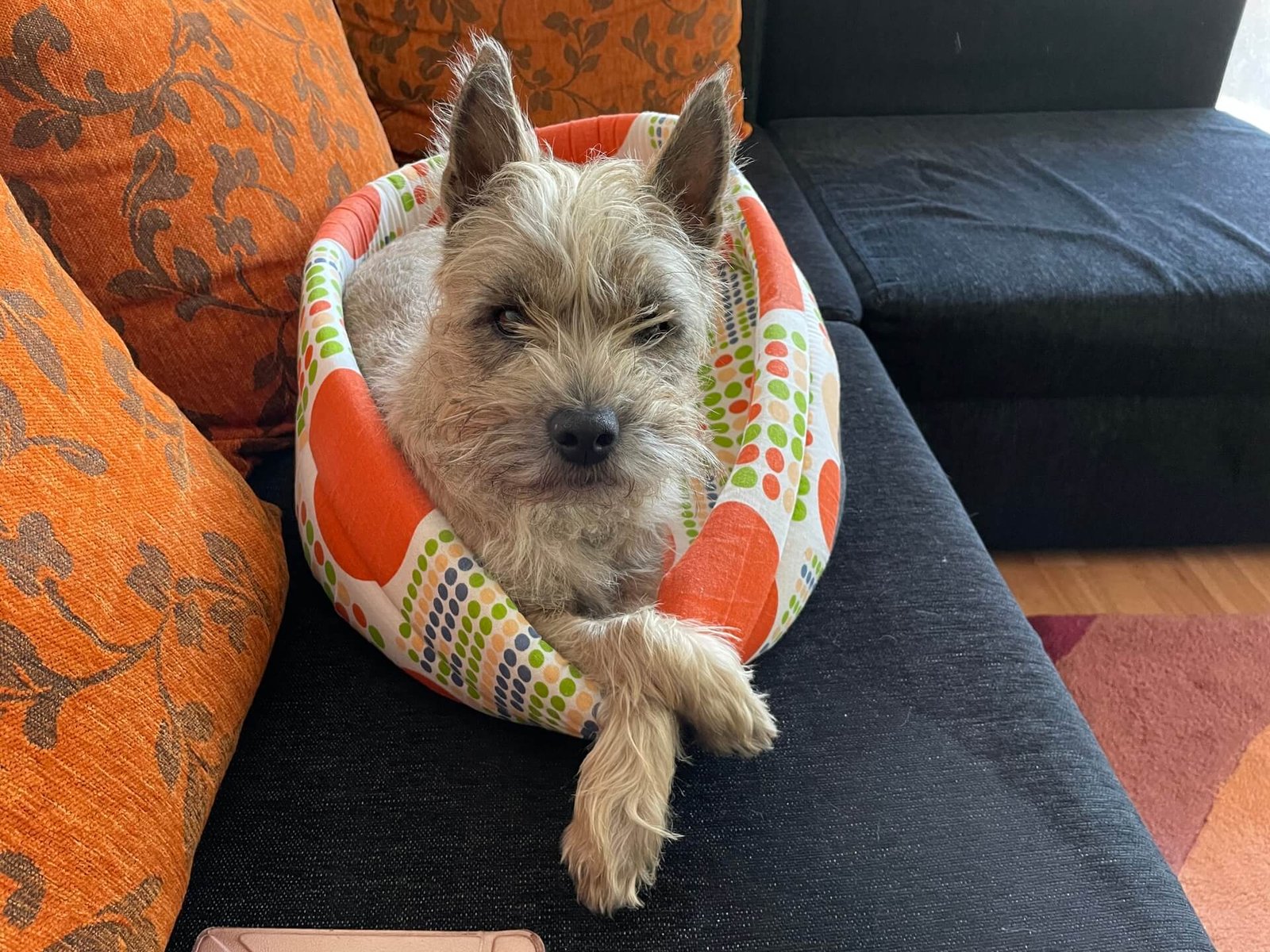 boekarest james chillen 4