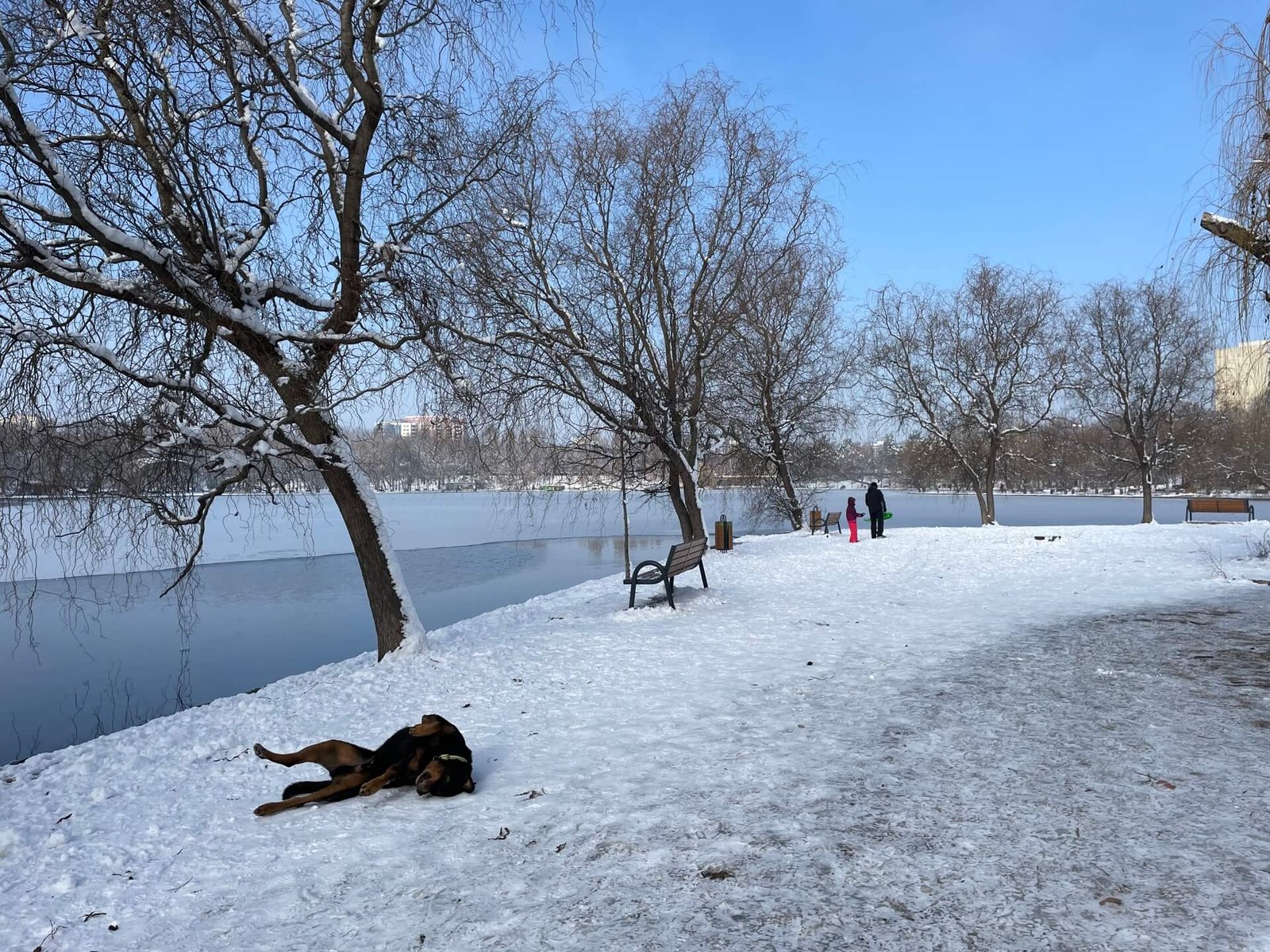boekarest titan park ruud
