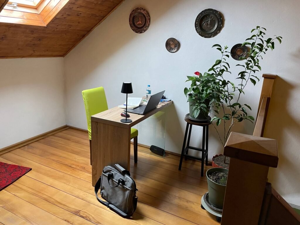 brasov fijne werkplek kitty