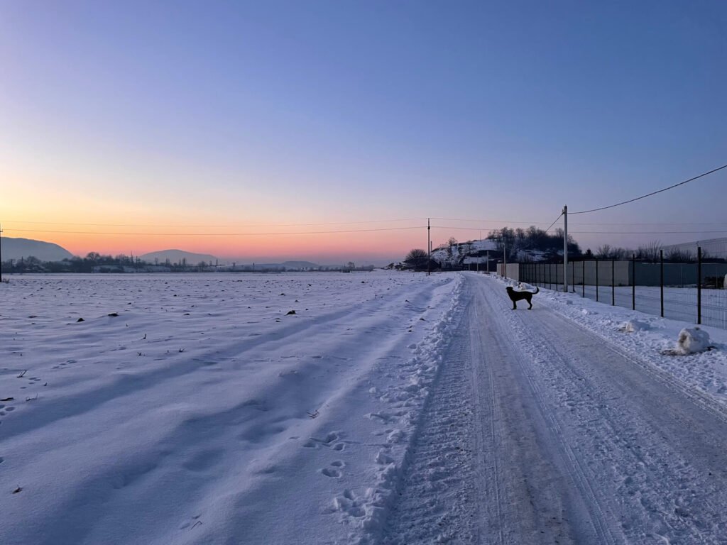brasov polder sunset sneeuw