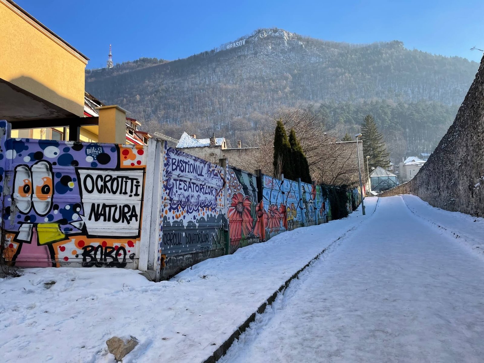 brasov sign tampaberg