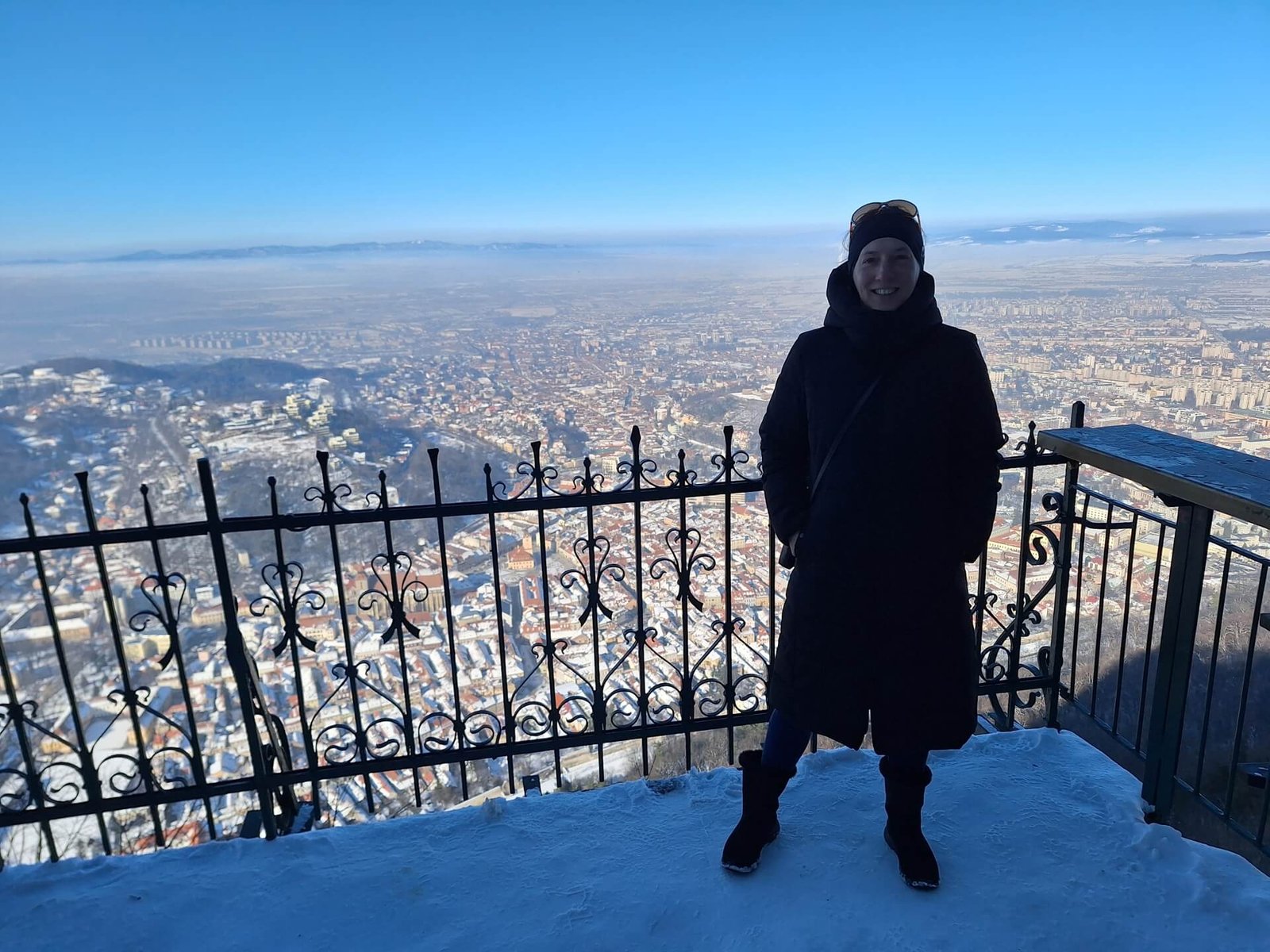 brasov tampaberg kitty