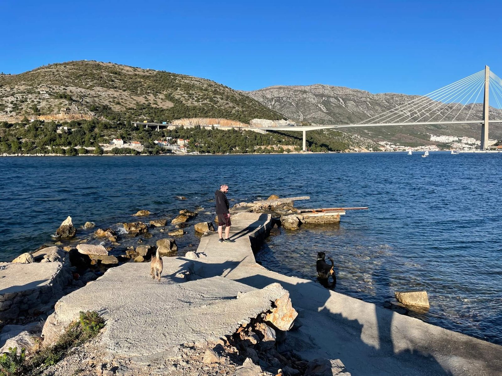 dubrovnik lapad dogs beach
