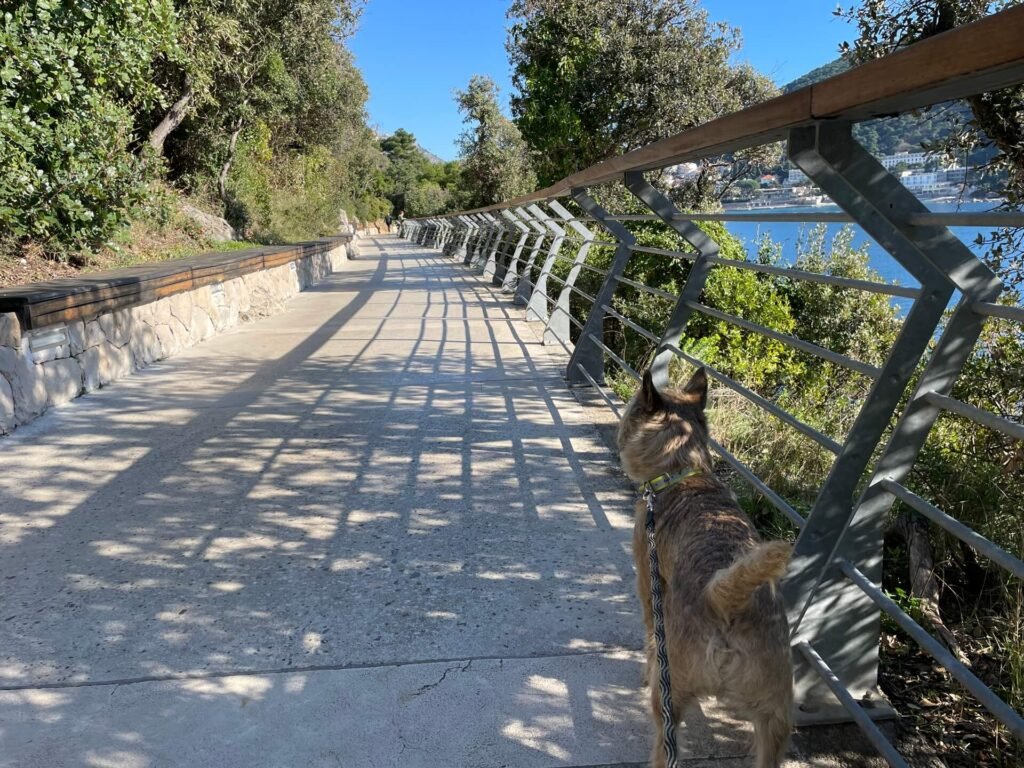 dubrovnik lapad promenade james