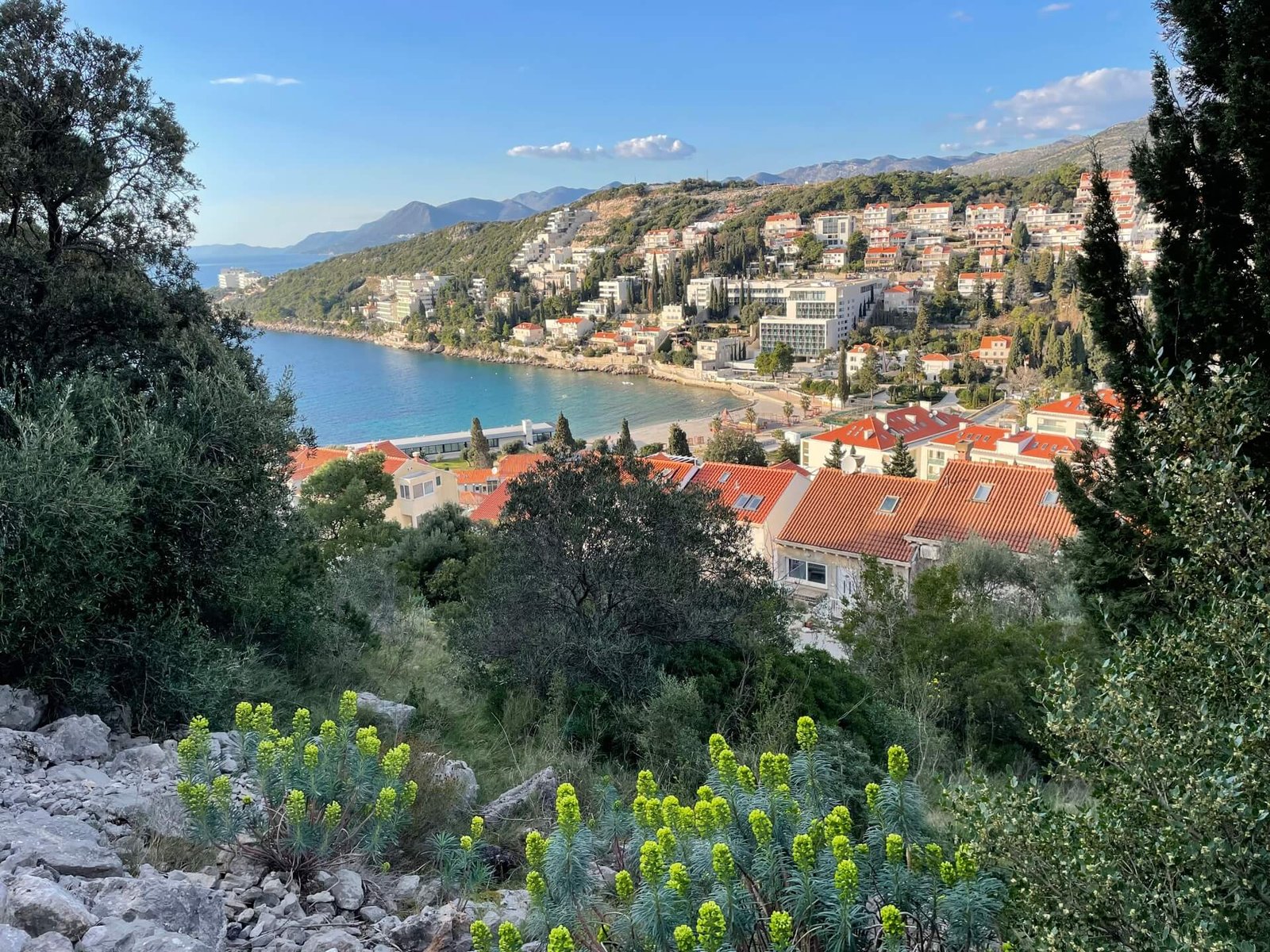 dubrovnik lapad uvala beach