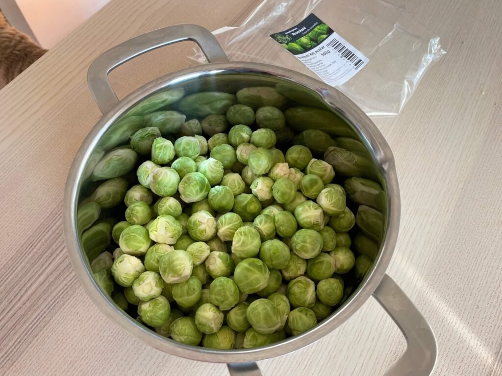 dubrovnik nederlandse spruiten